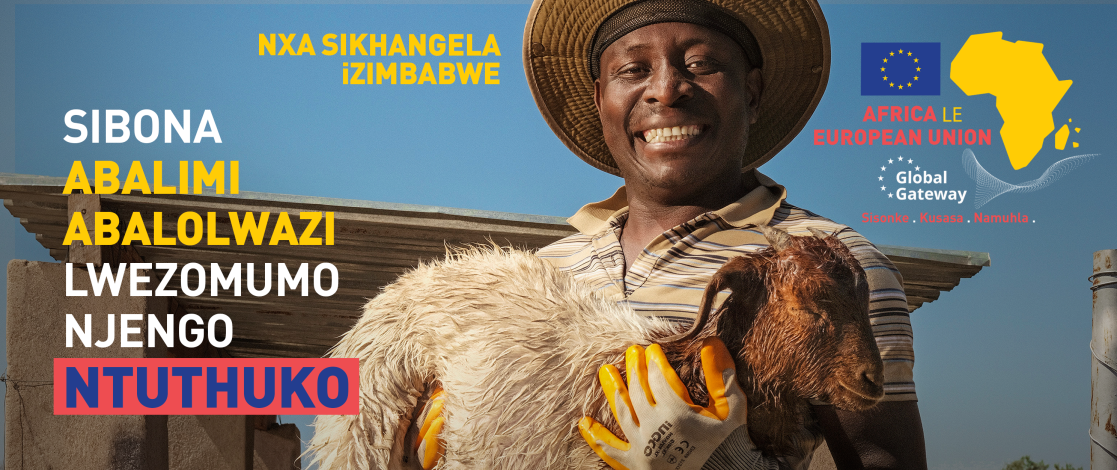 ZIMBABWE - Ntuthuko Key Visual