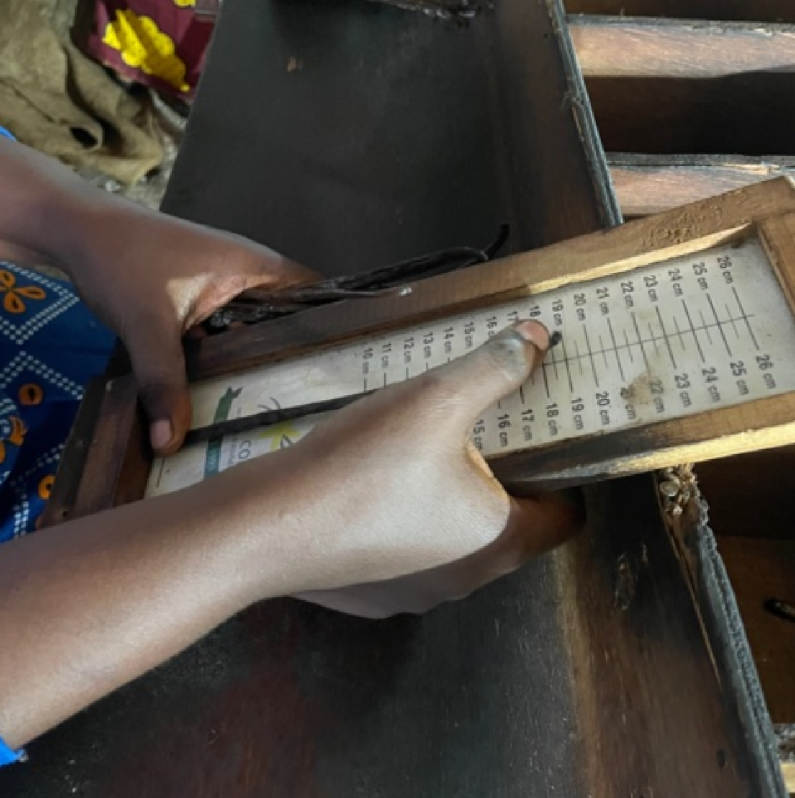 Person doing some measurement