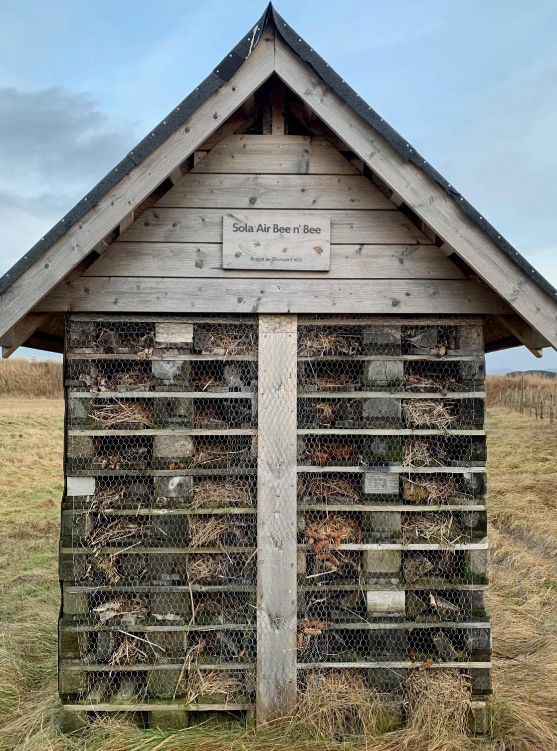 stavanger 5.jpg