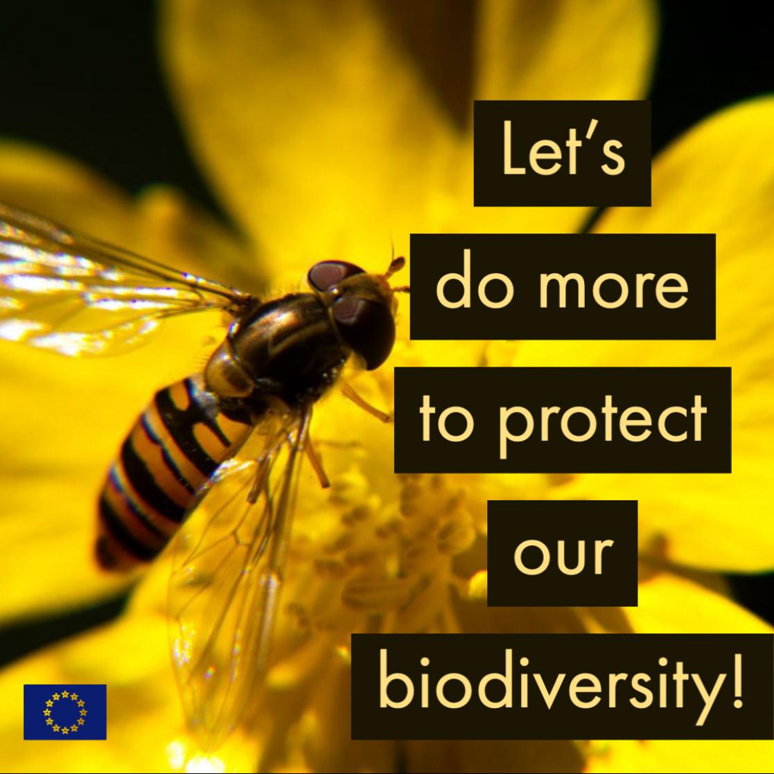 Biodiversity
