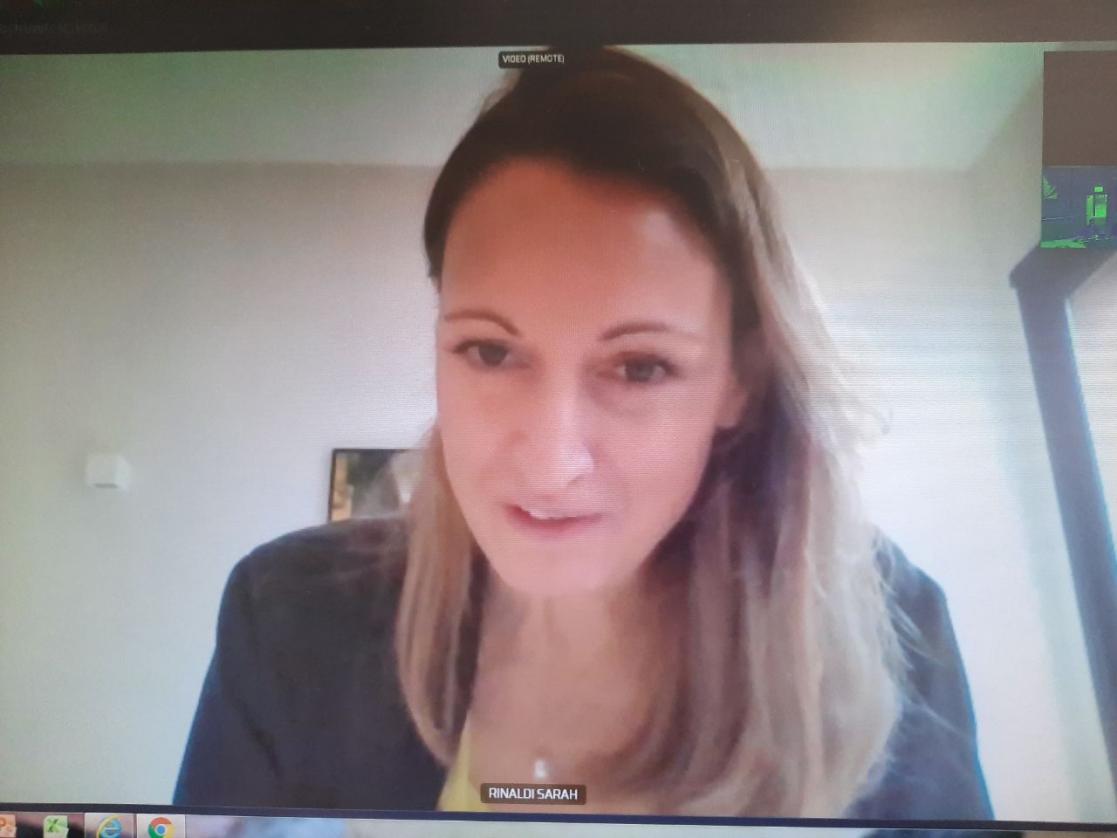 Screenshot during a virtual meeting
