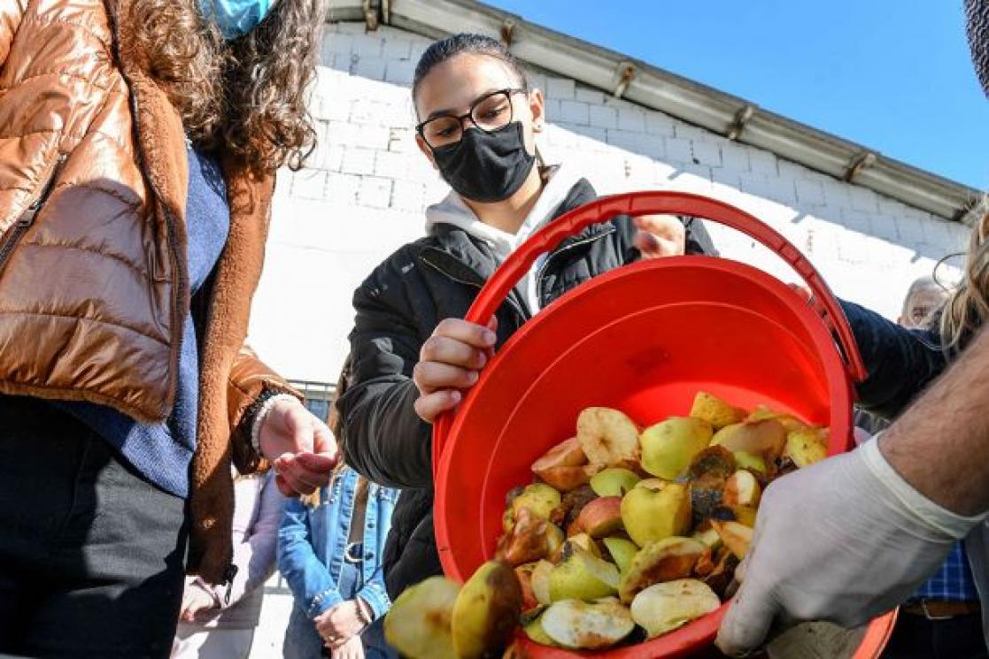 People collecting fruit