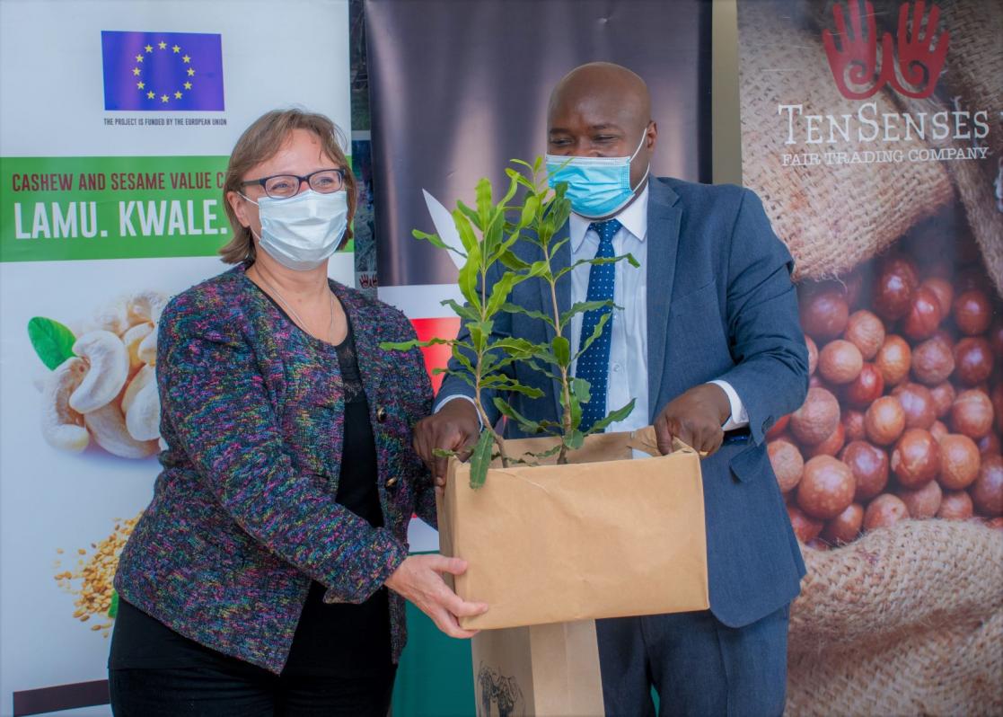 A man and a woman holding a cardboard box with a plant inside
