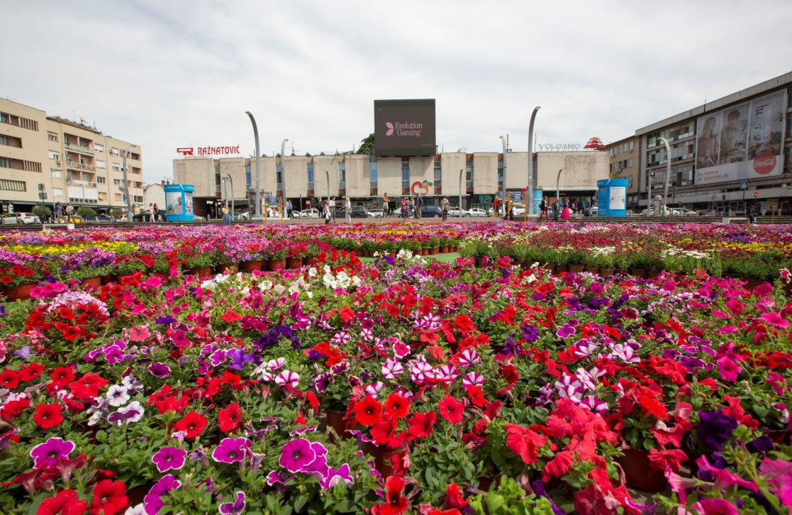 Stadium surrounded by flowers