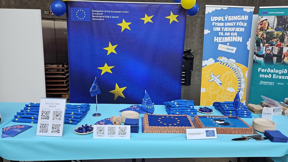 Photo of the EU booth at an event. Large EU banner in the background, with flags and decorated cakes