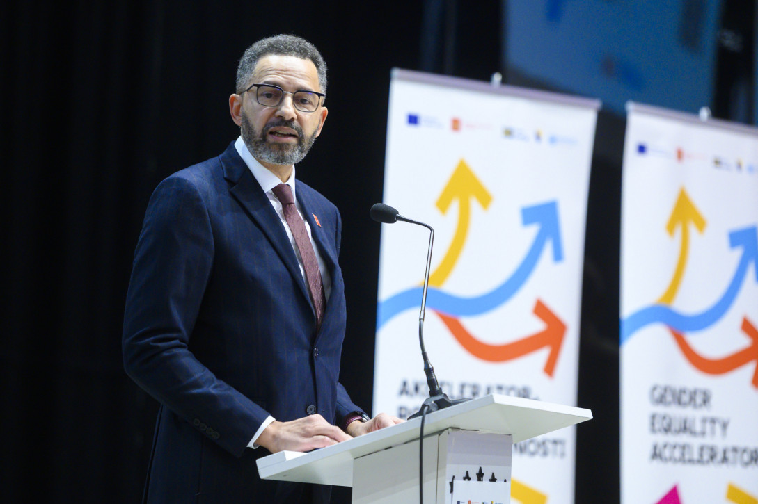 Adebayo Babajide, Deputy Head of the Delegation of the EU to BiH