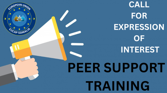 CfE Peer support training