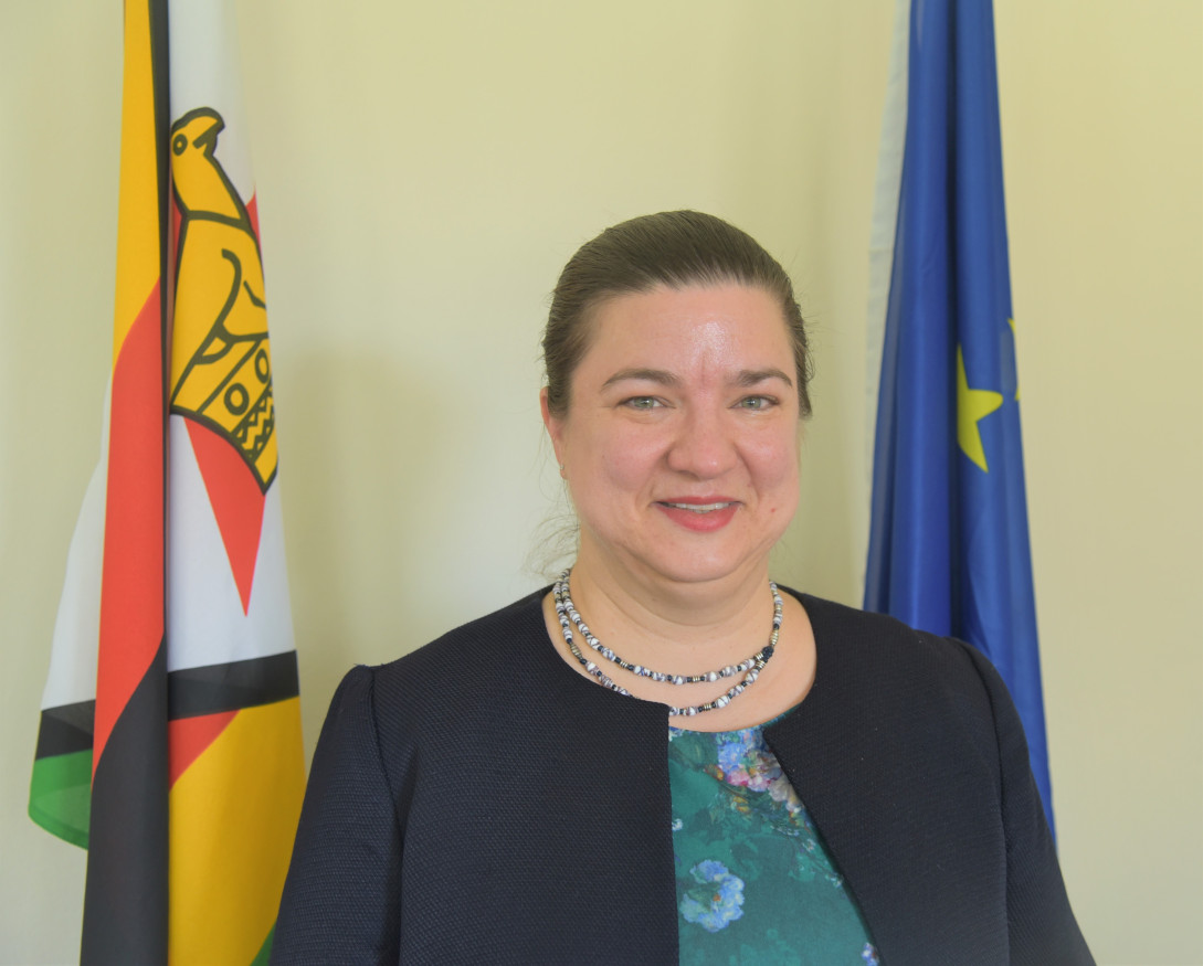 Katrin Hagemann - EU Zimbabwe