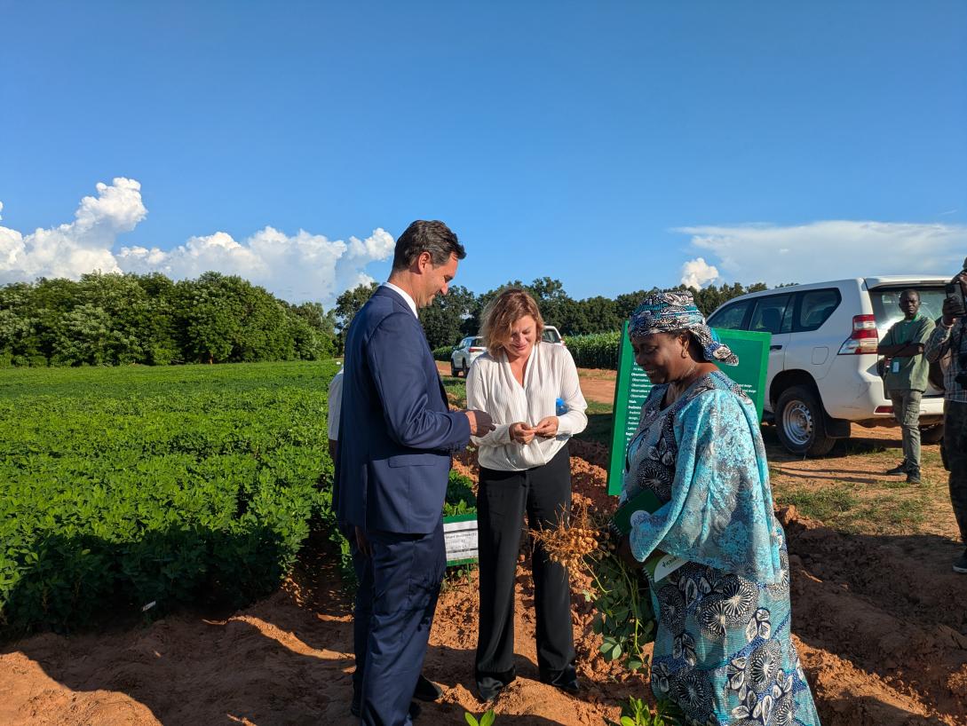 Visite de Jolitia Pons à l'ICRISAT