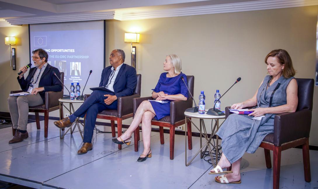 Panel d'échanges au déjeuner d'affaires de l'UE à la DRC Mining Week