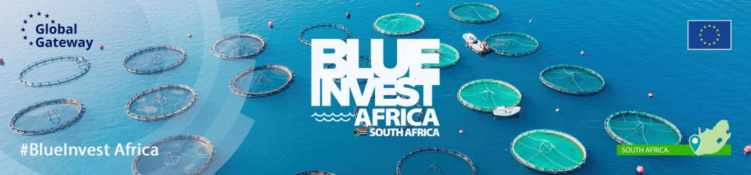 Blueinvest