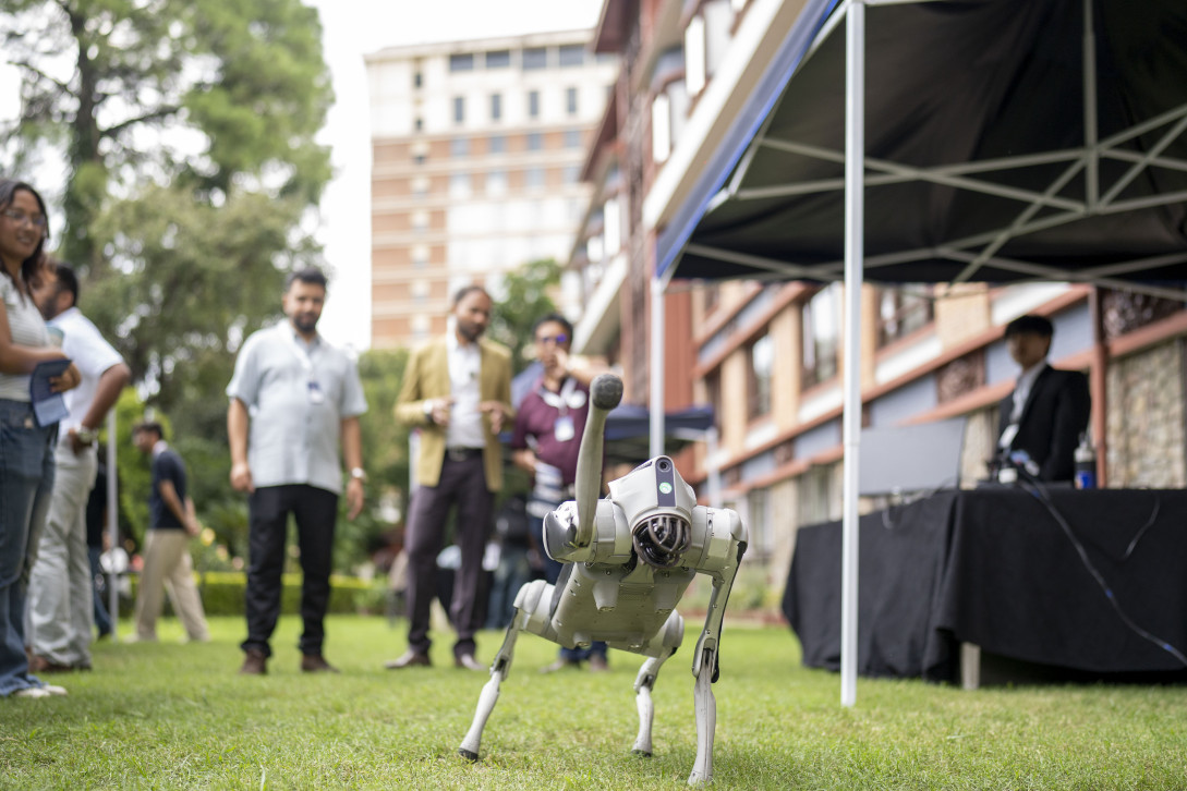 A cyber dog on display at the EU Youth Fest.