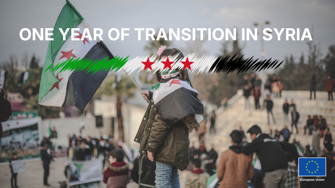 HRC61 side event on Syria