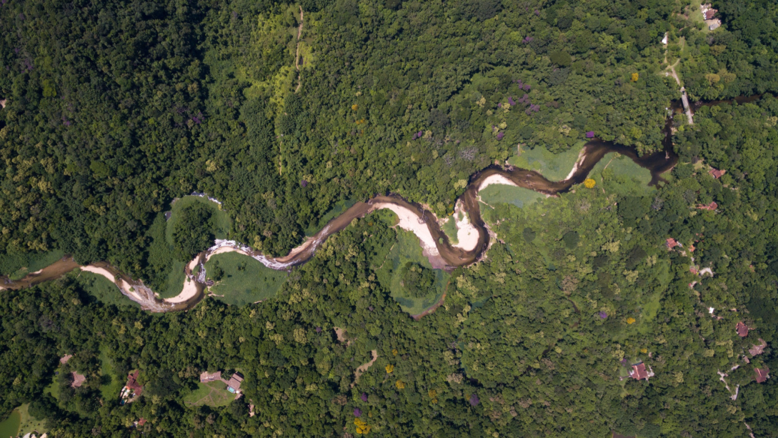 Programa Grandes Bosques de Mesoamérica