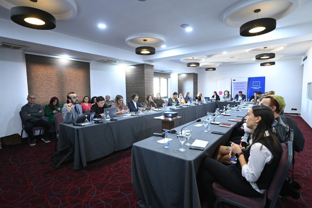  Bias at the Doorstep Unveiling Discrimination Through Labour Market Situation Testing 