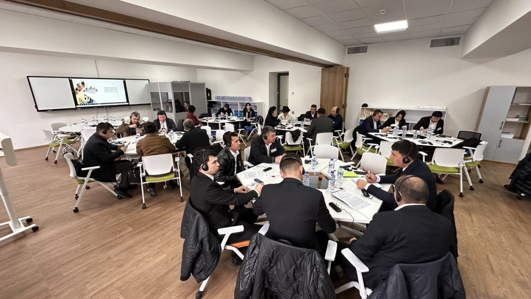 training and peer-learning programme 