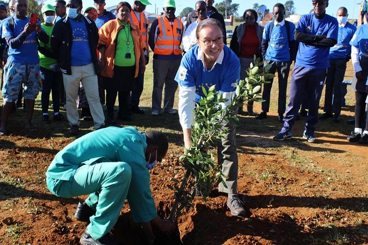 EU Ambassador to Eswatini, Dessislava Choumelova, planting an indigenous tree at Sidvwashini park in Mbabane on 03 June 2022 at the conclusion of the EU Green Week 2022.