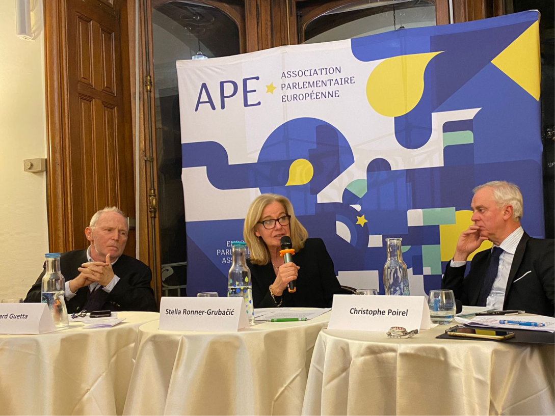 Bernard Guetta, Stella Ronner-Grubačić, and Christope Poirel at the EUDEL event