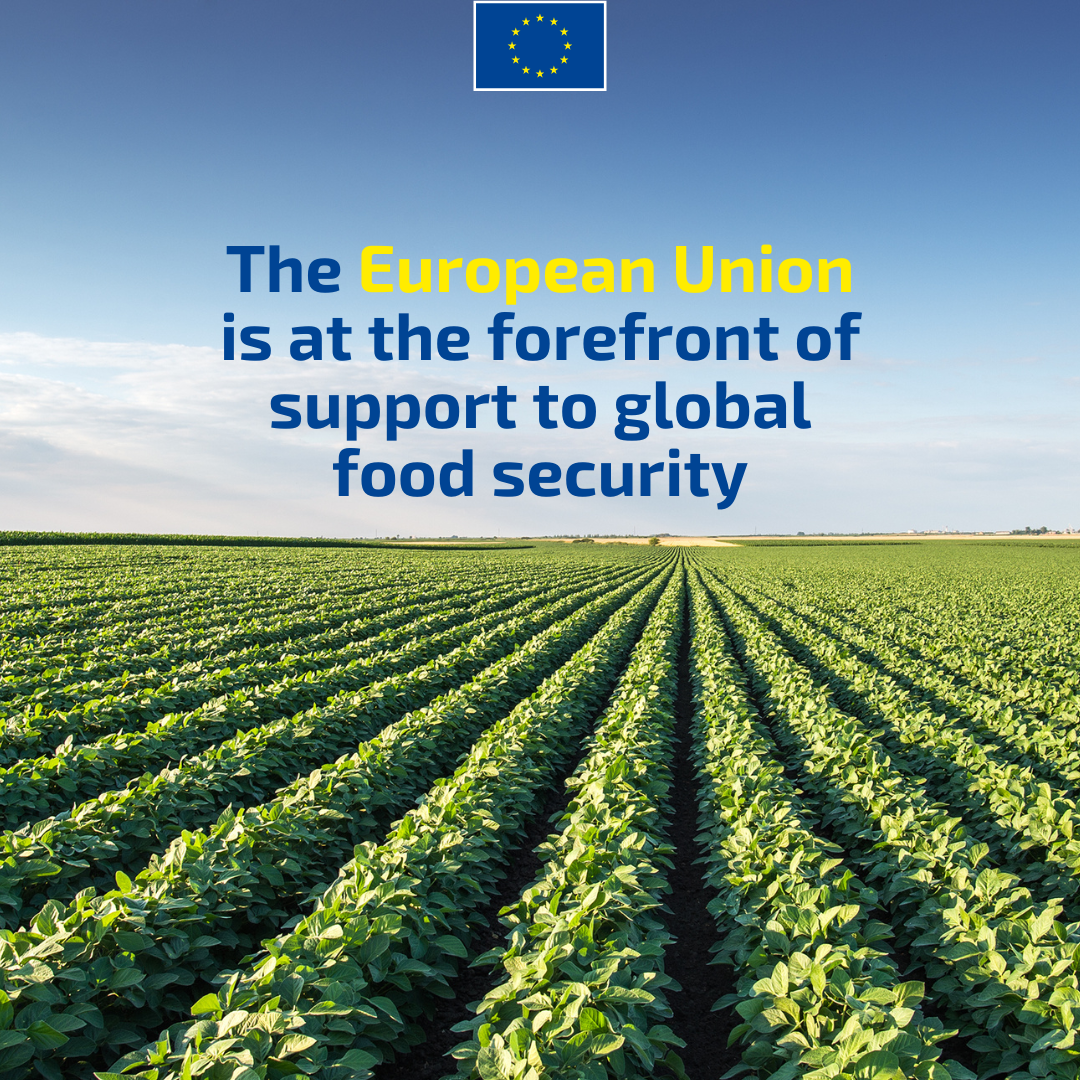 Visual with text on screen: The EU is at the forefront of support to global food security