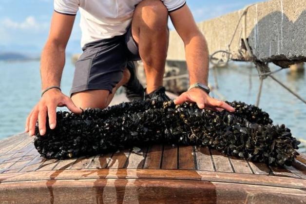 Soraldo Nebo, the mussels tour guy, who heads the Visit Saranda tourism organization