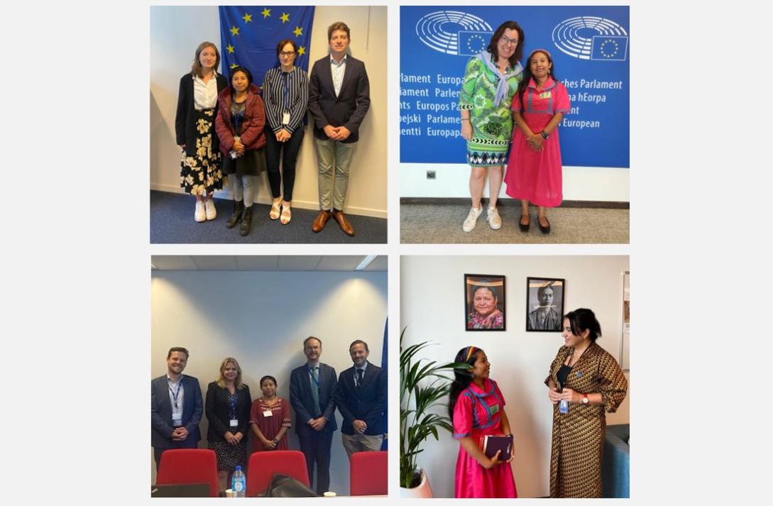HR defenders Felicita visits EU institutions