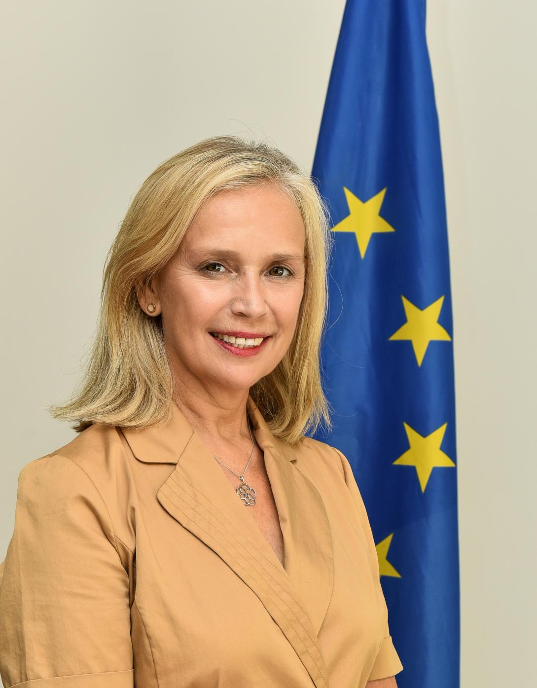 Ambassador Marianne Van Steen