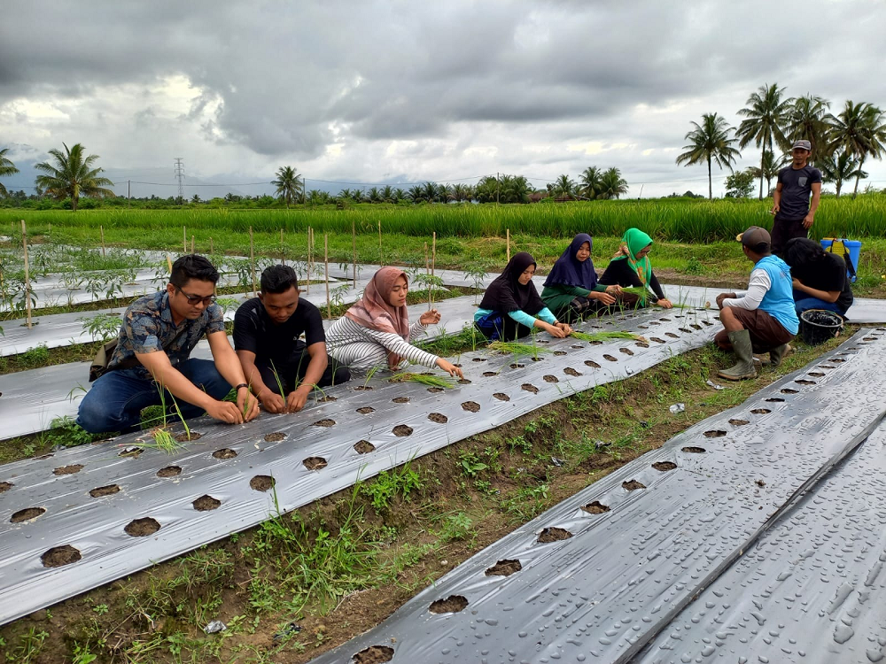 EU-funded ECHO Green Project