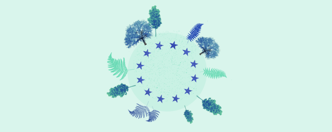 Libre de Deforestación