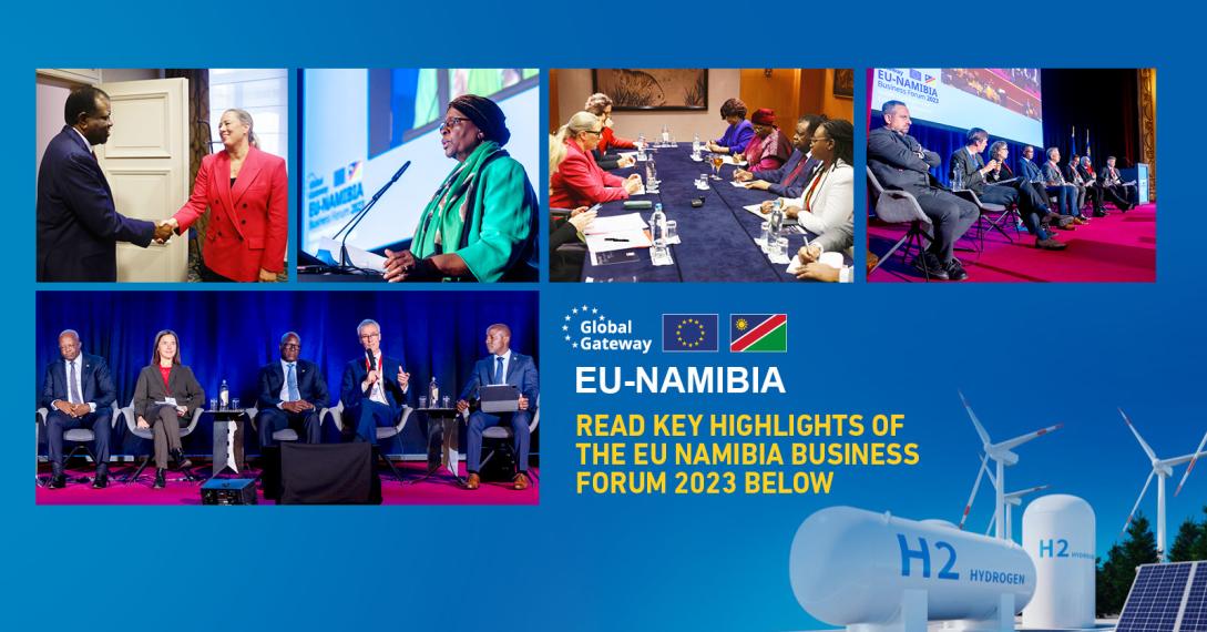 EU Namibia Business Forum