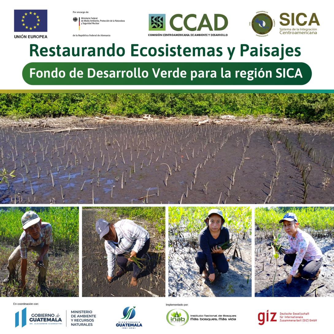 Restaurando Ecosistemas y Paisajes, Fondo de Desarrollo Verde para la región SICA