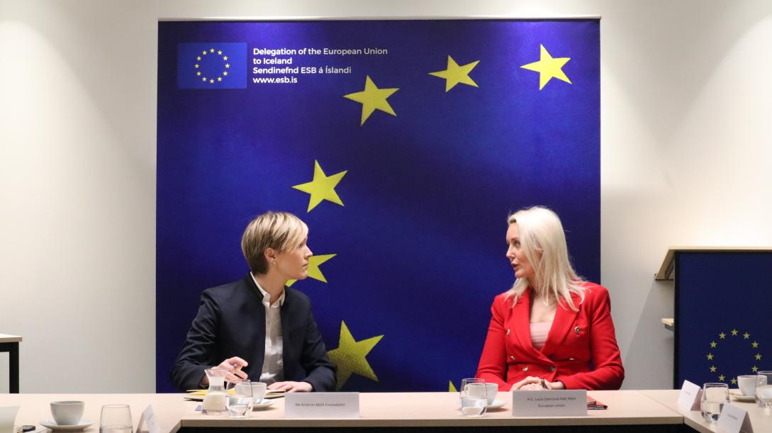 Chairman of Samfylkinging with the EU Ambassador