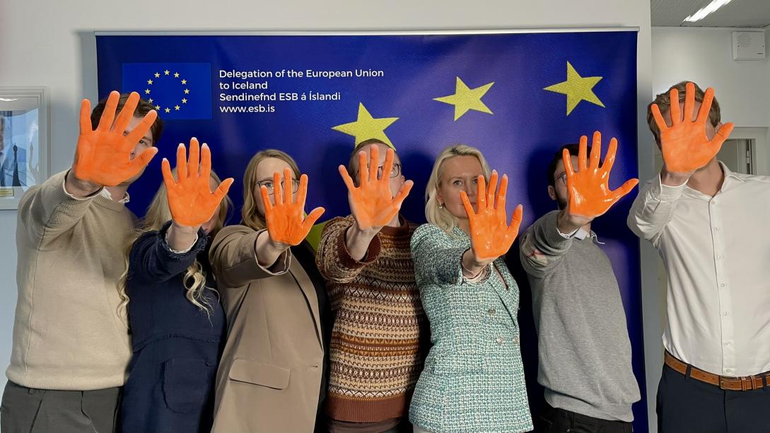 EU DEL Iceland OrangeTheWorld