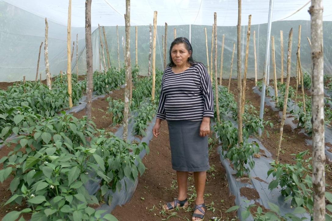 Mujeres Rurales_Honduras