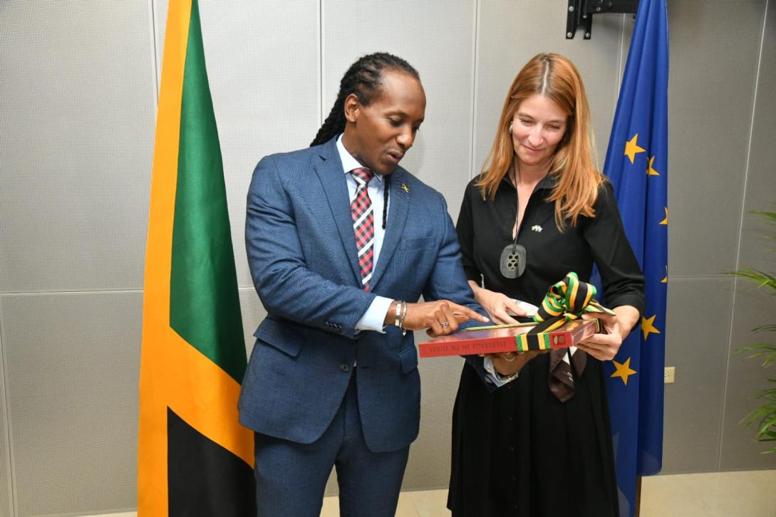 JA-EU political dialogue