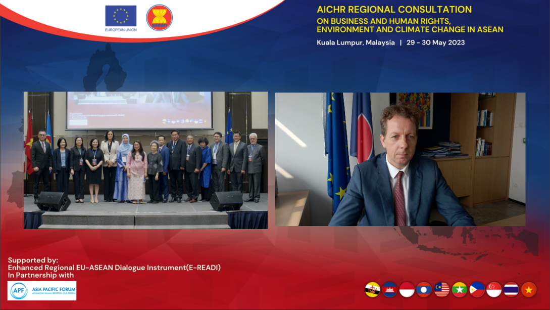 AICHR Group Photo with EU Ambassador Igor Driesmans