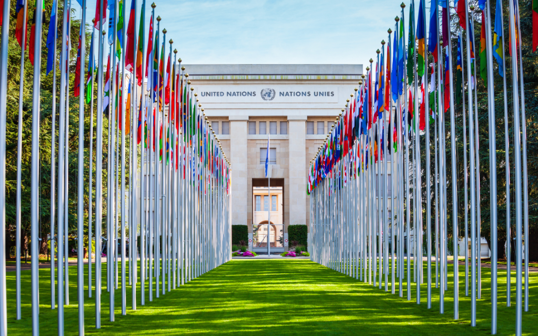 UN Geneva - Flags