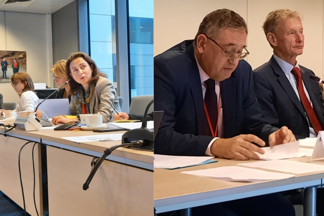 EEAS and CoE Representatives at the Senior Officials Meeting in Brussels