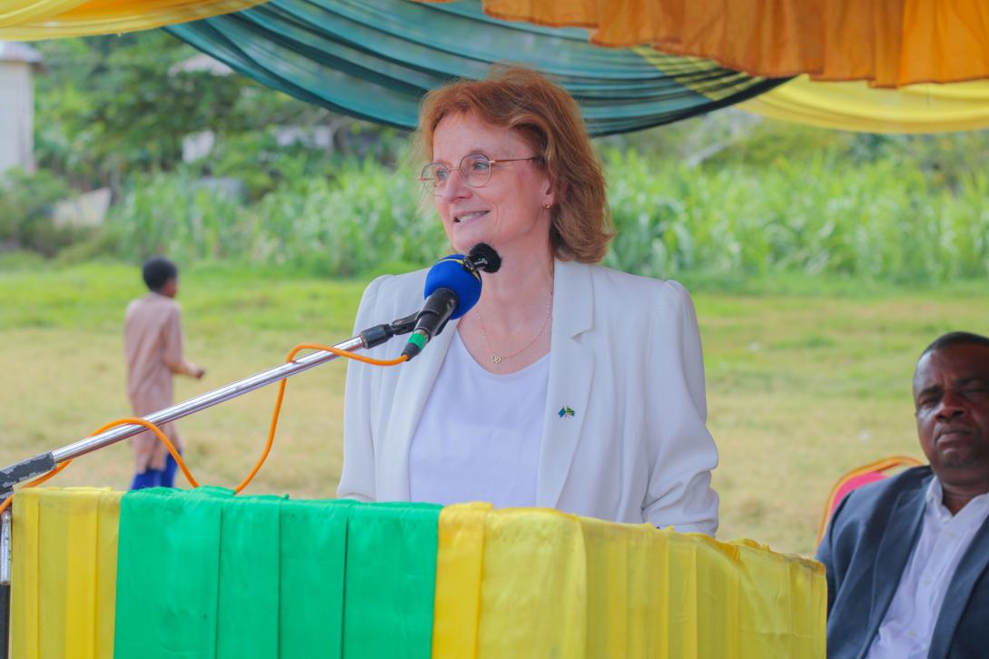 EU Ambassador Chrisrtine Grau