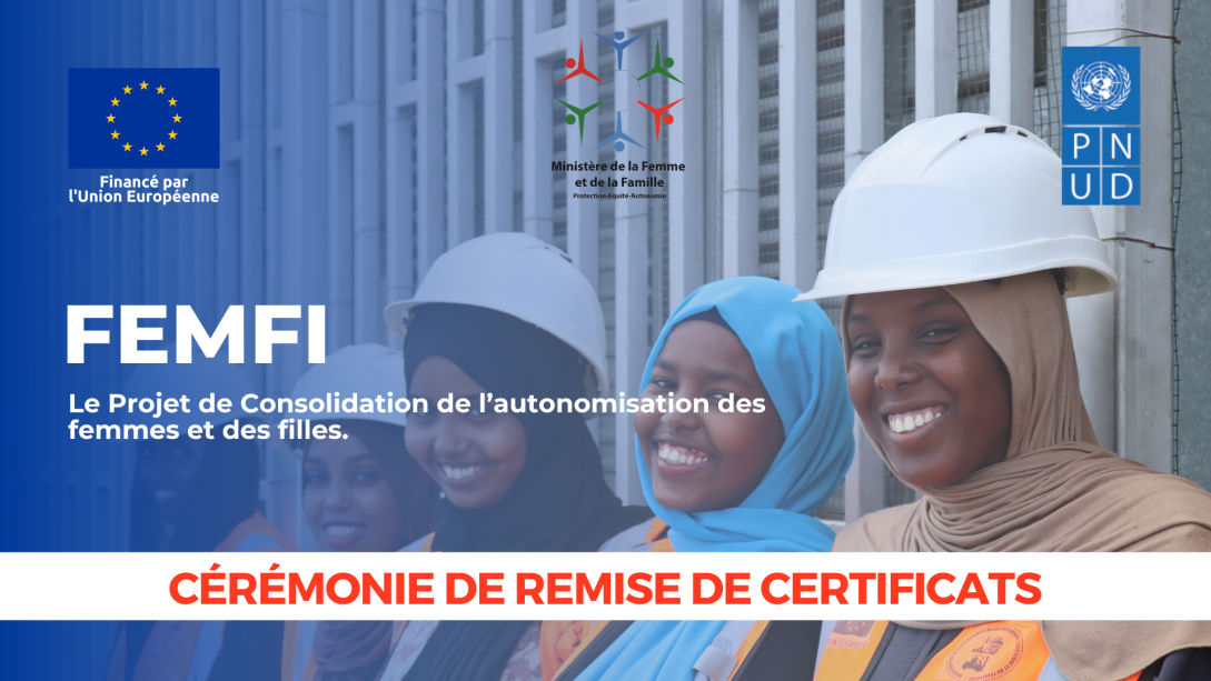 Projet FEMFI