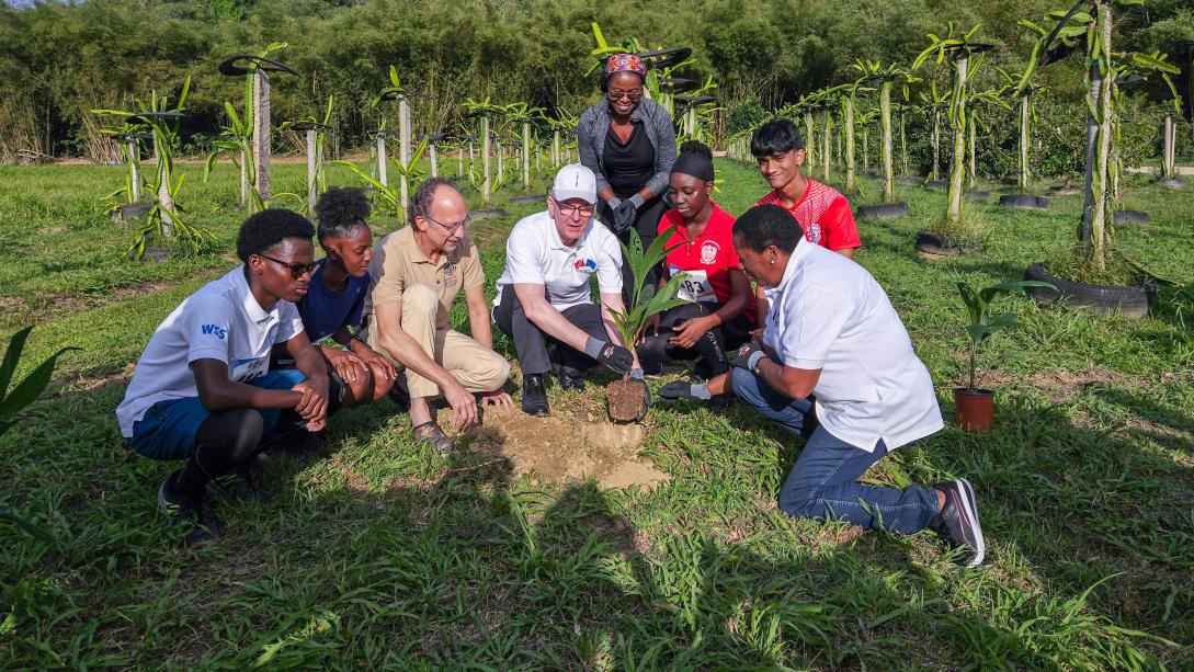 EU Ambassador plants a tree with students and partners 