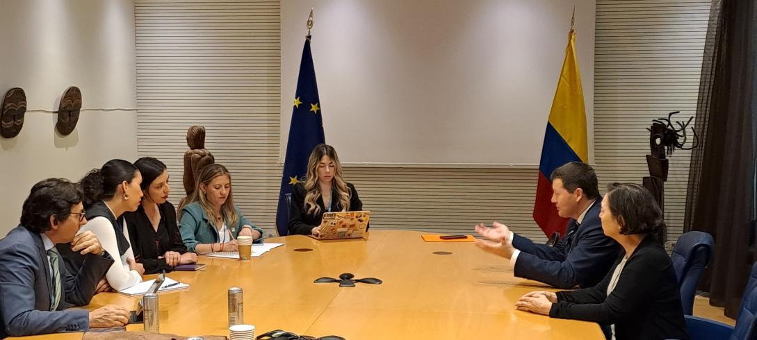 Meeting EUDEL & Colombia