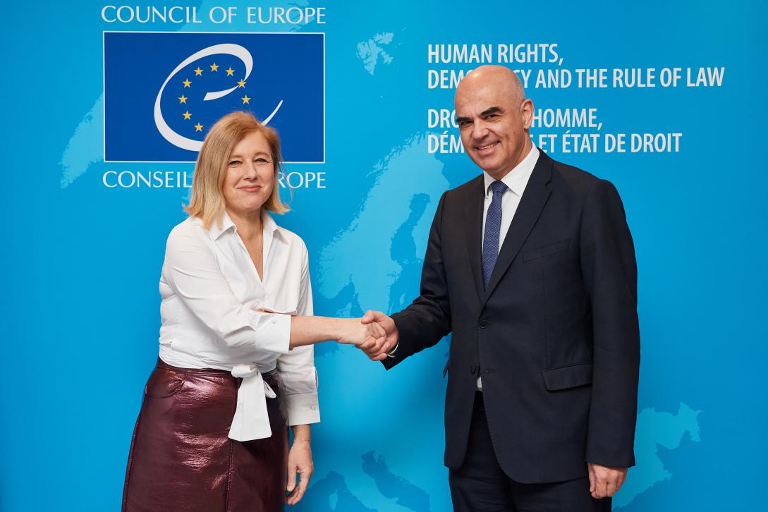 EU Commission Vice-President shakes hands with Council of Europe Secretary General