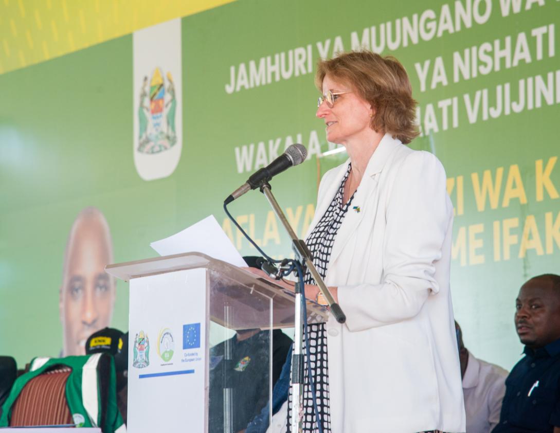 EU Ambassador Christine Grau