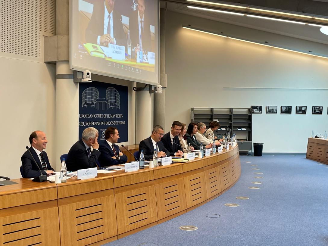 EU-CoE Law Seminar