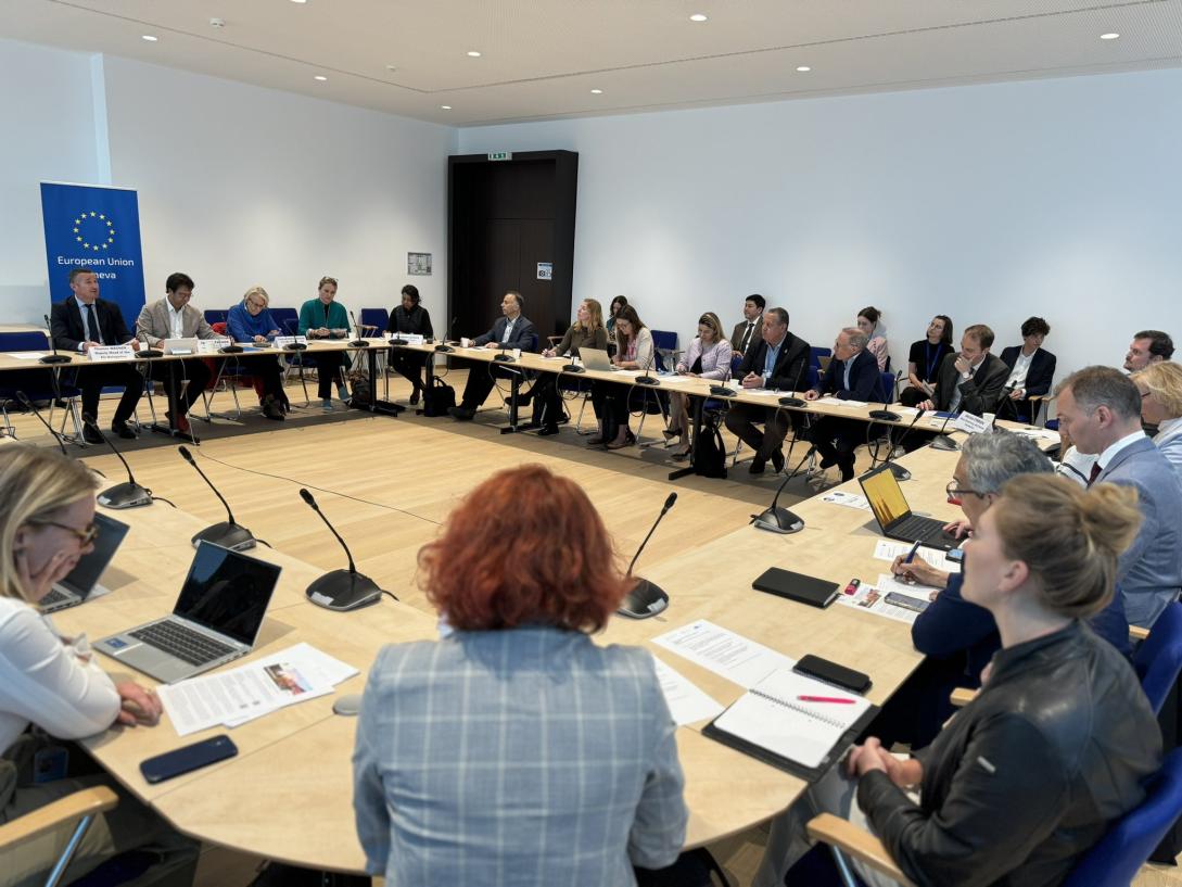 Geneva democracy dialogues