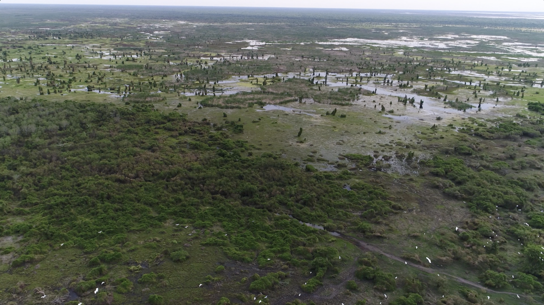A flat, green terrain partially wooded.