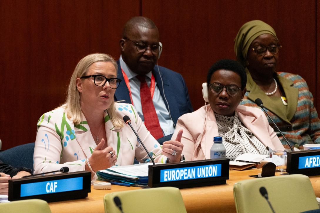 22 September 2024 - How to bring in additional investment and financing for sustainable development