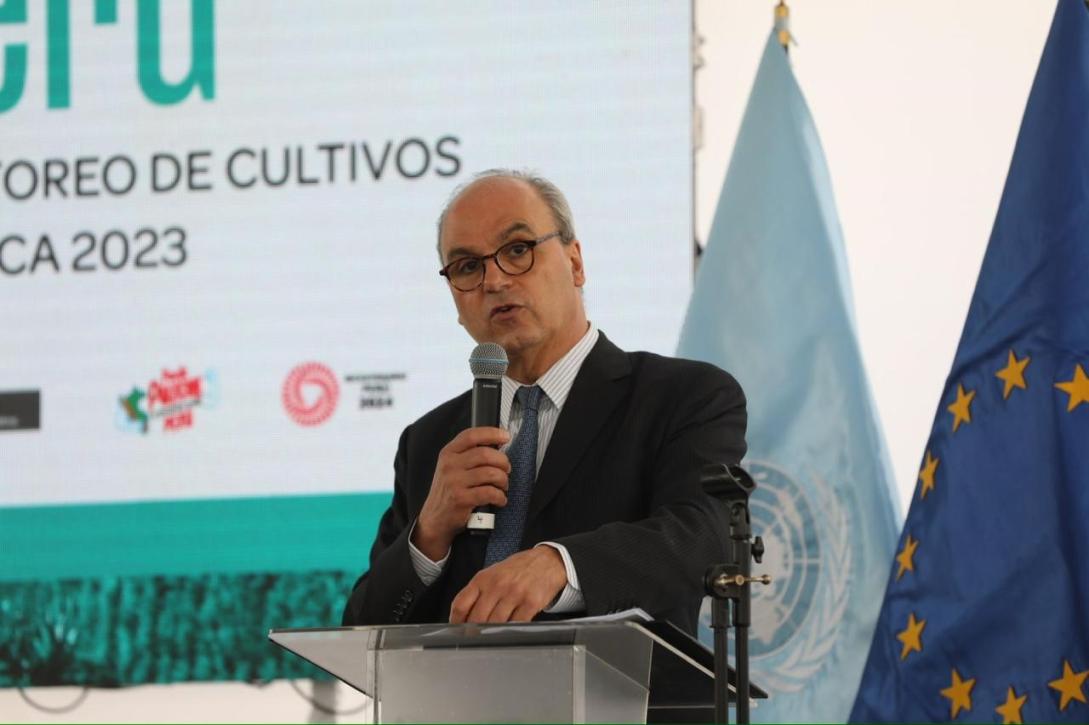 Perú rompe tendencia creciente de cultivos de coca en 2023