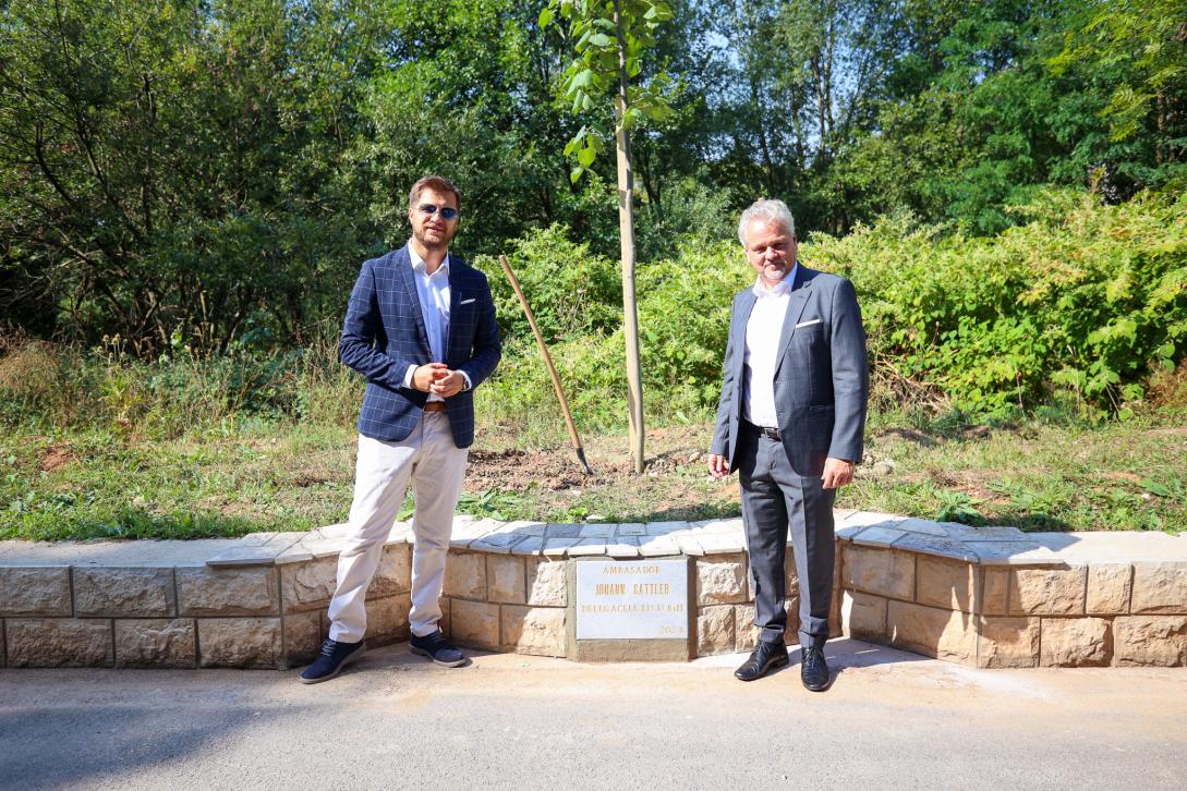 EU Ambassador Sattler and Mayor Čengić planted a linden tree in the Alley of Ambassadors