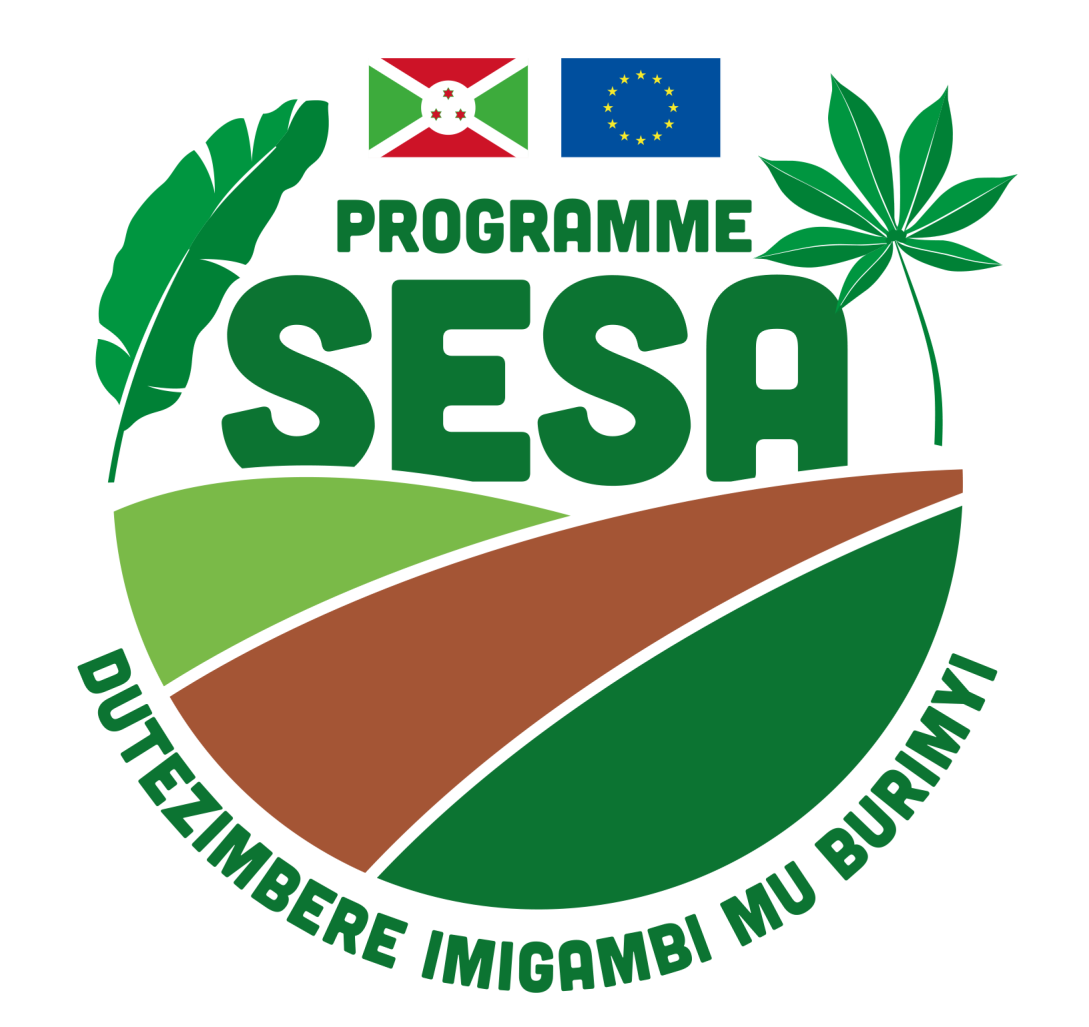 SESA PROGRAM